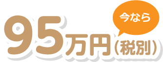 95万円(税別)