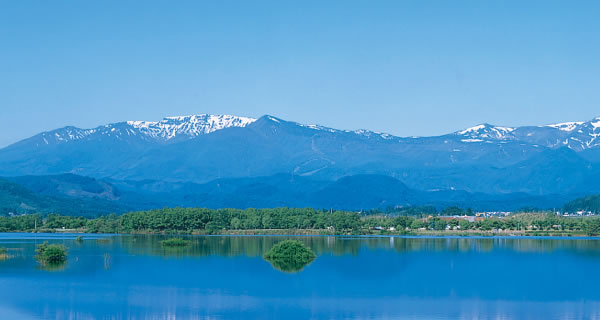 ほこだて仏光堂区画墓地「みどりの」