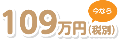 109万円(税別)