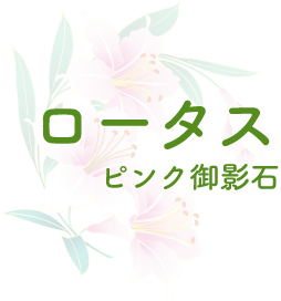 ロータス ピンク御影石